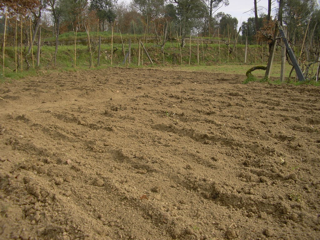 [2007-02-08+030.JPG]