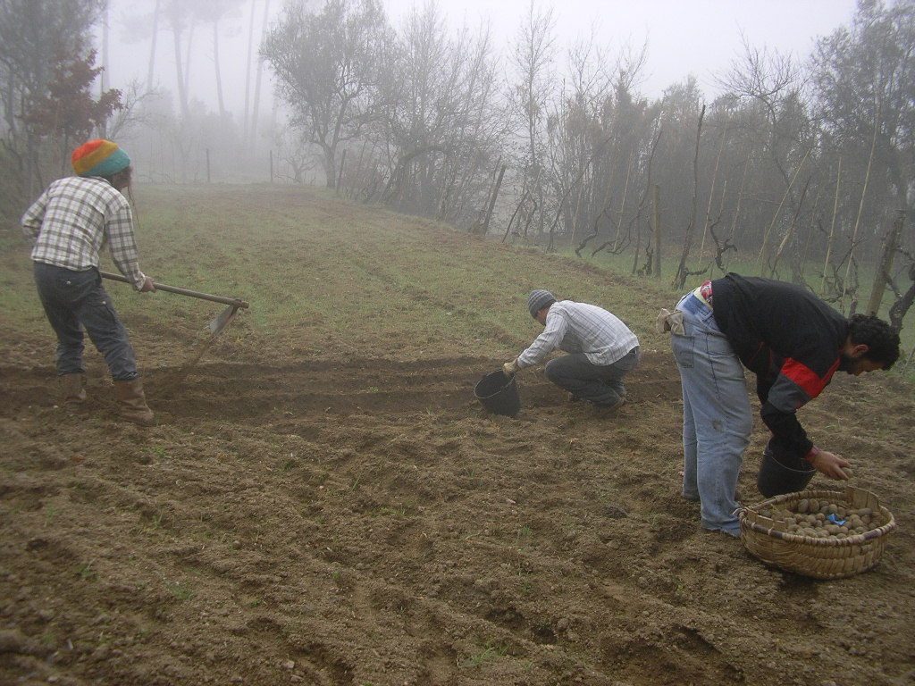 [2007-02-08+010.JPG]