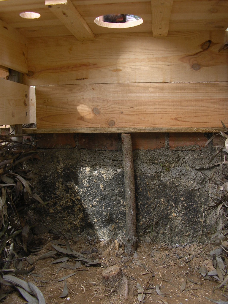 [2007-03-12+021.JPG]