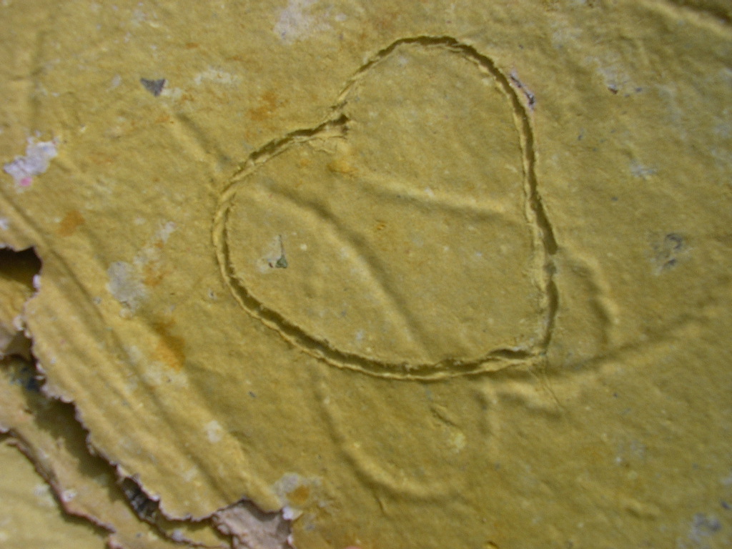 [2007-09-12new+room+013.JPG]