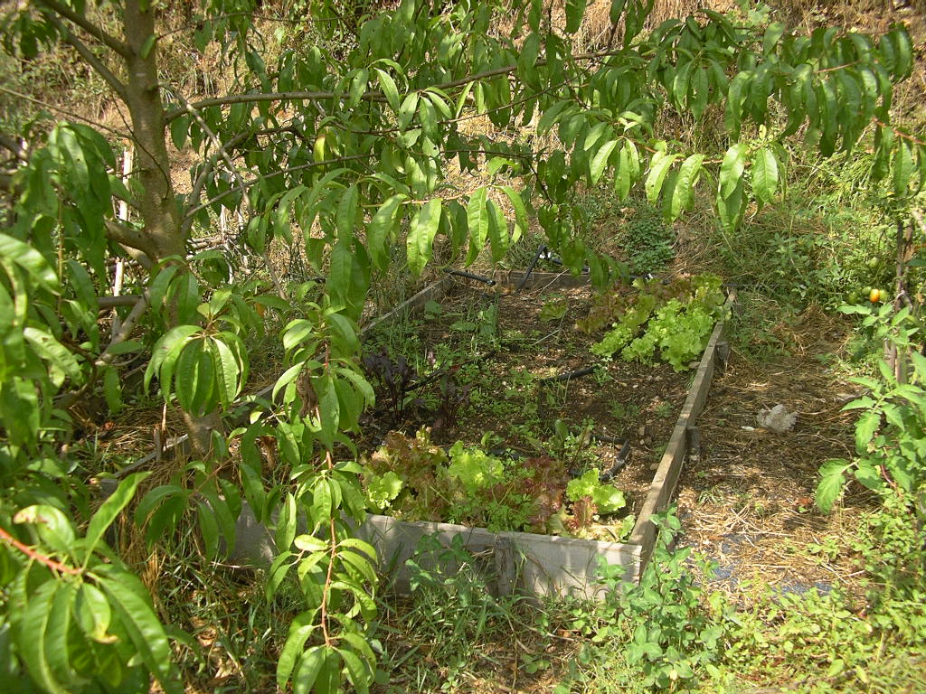 [2007-09-15+008.JPG]