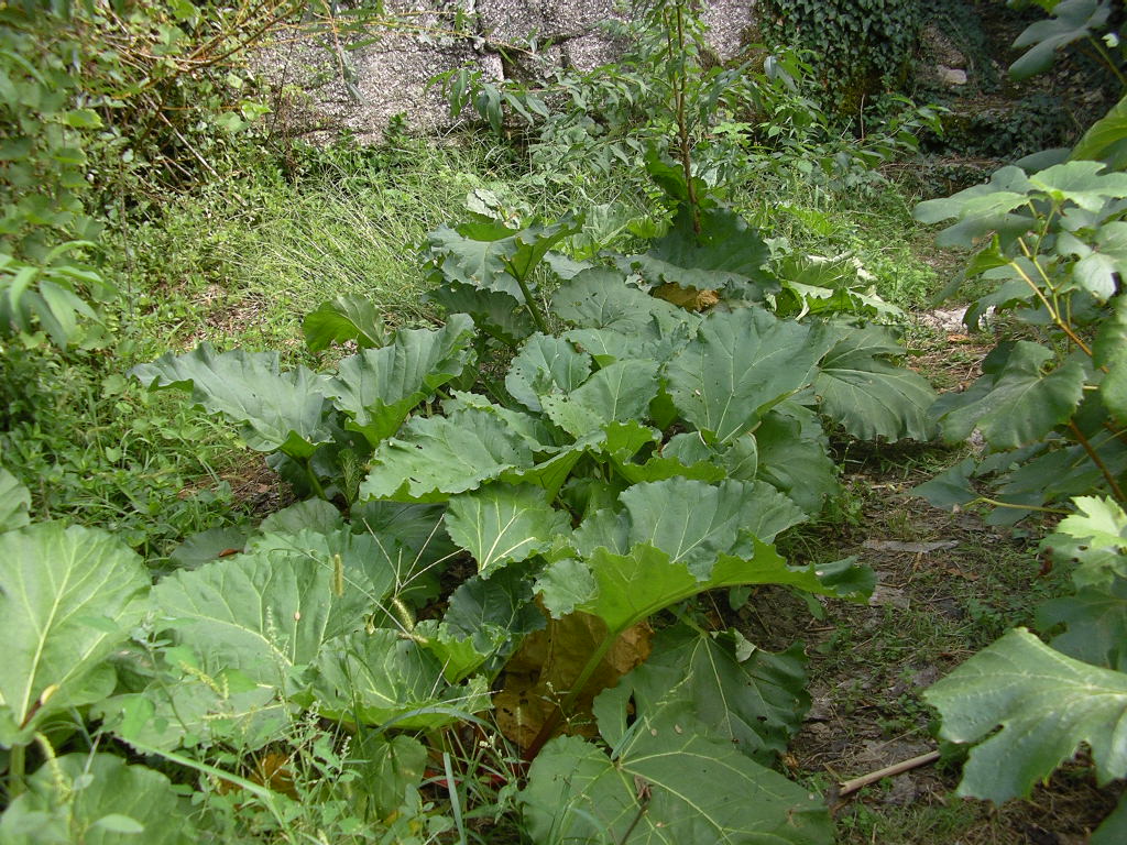 [2007-09-15+015.JPG]