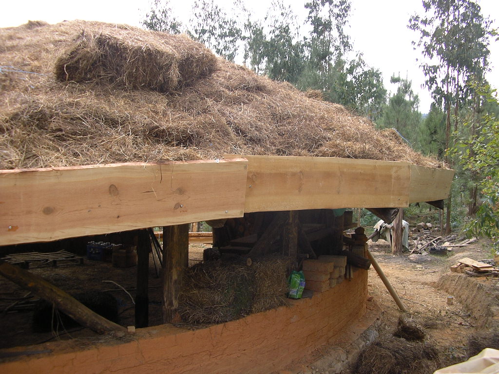 [2007-10-24+067.JPG]