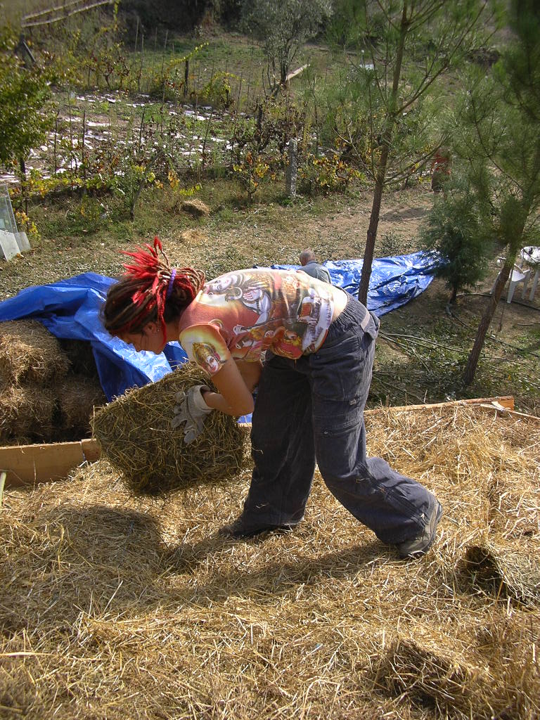 [2007-10-24+046.JPG]