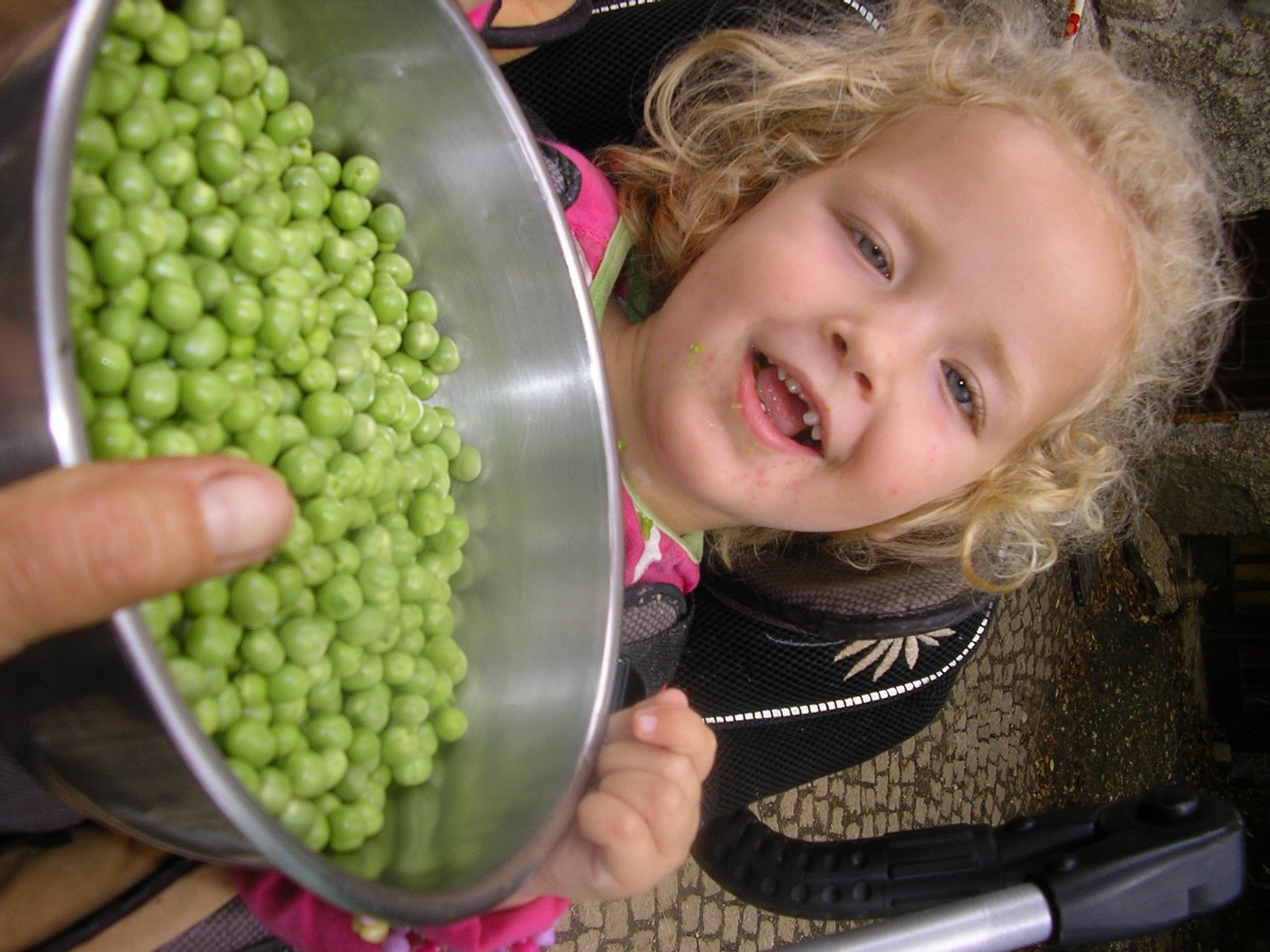 [2008-05-20+022.JPG]