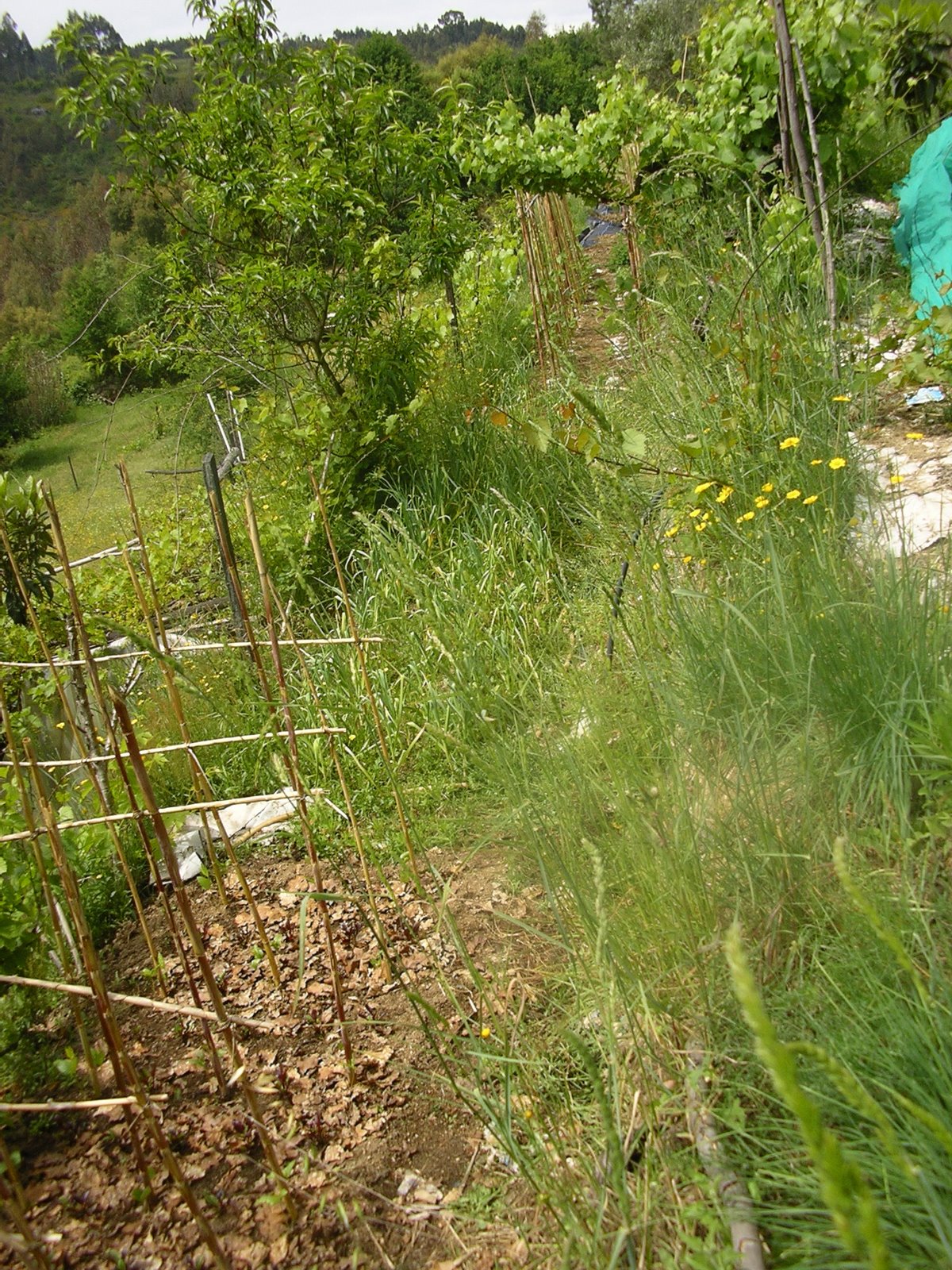 [2008-05-20+010.JPG]