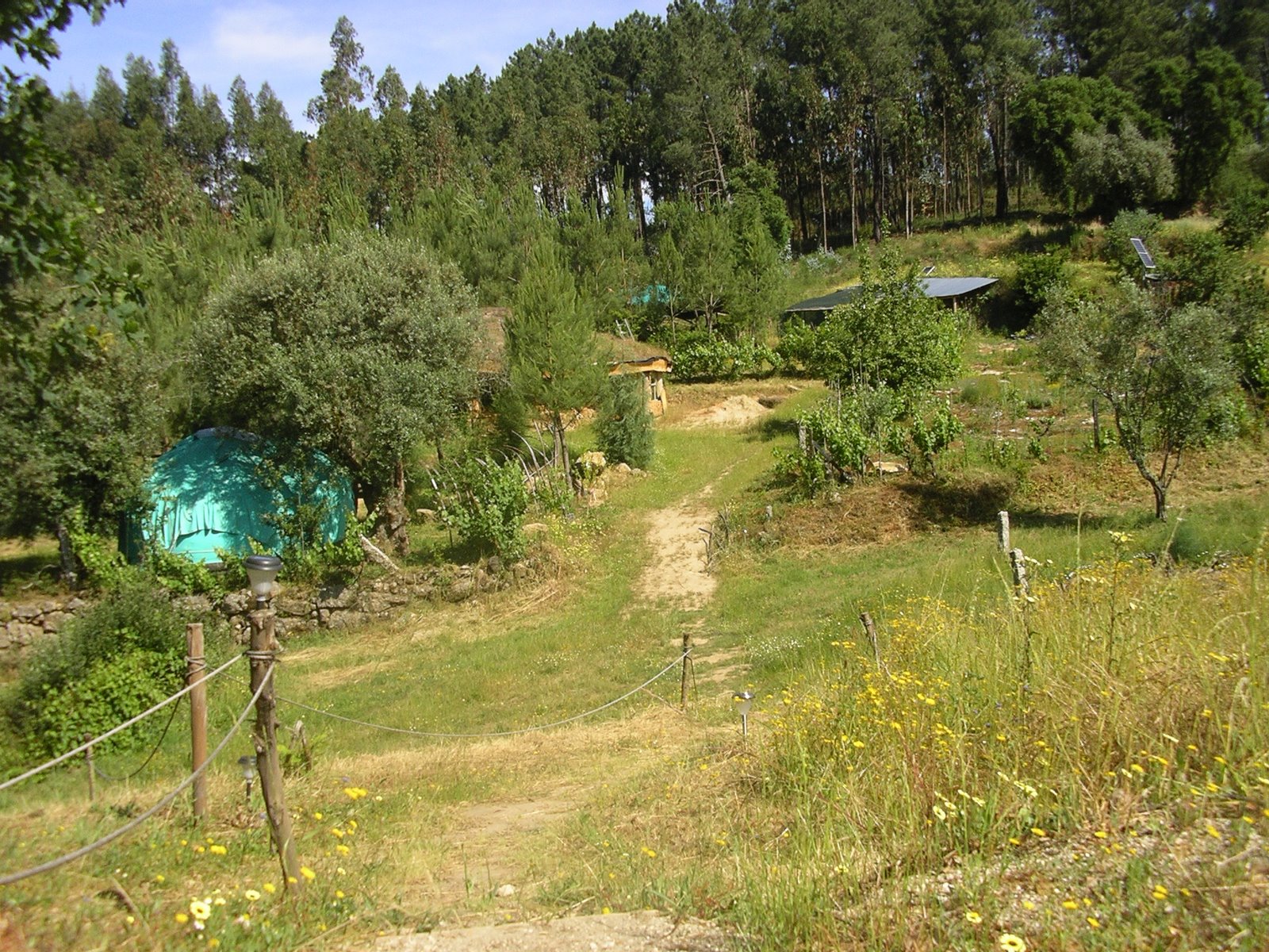 [2008-06-16+066.JPG]