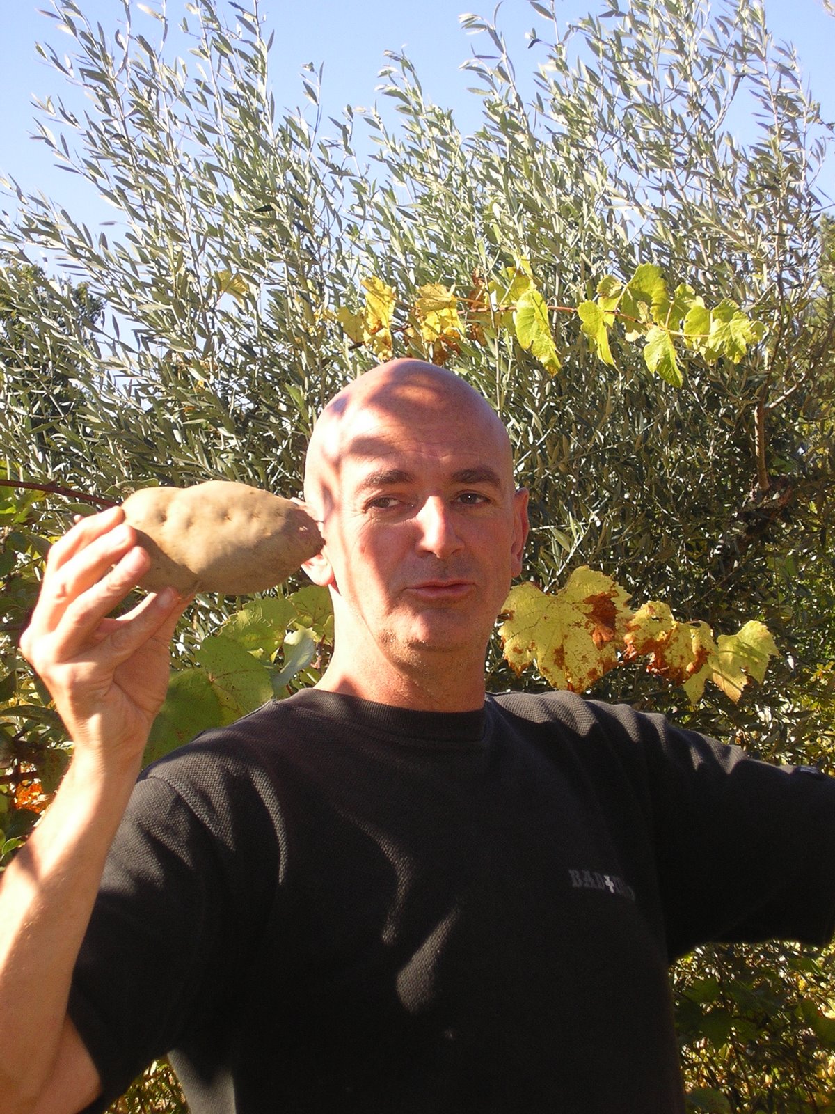 [2008-10-26+069.JPG]