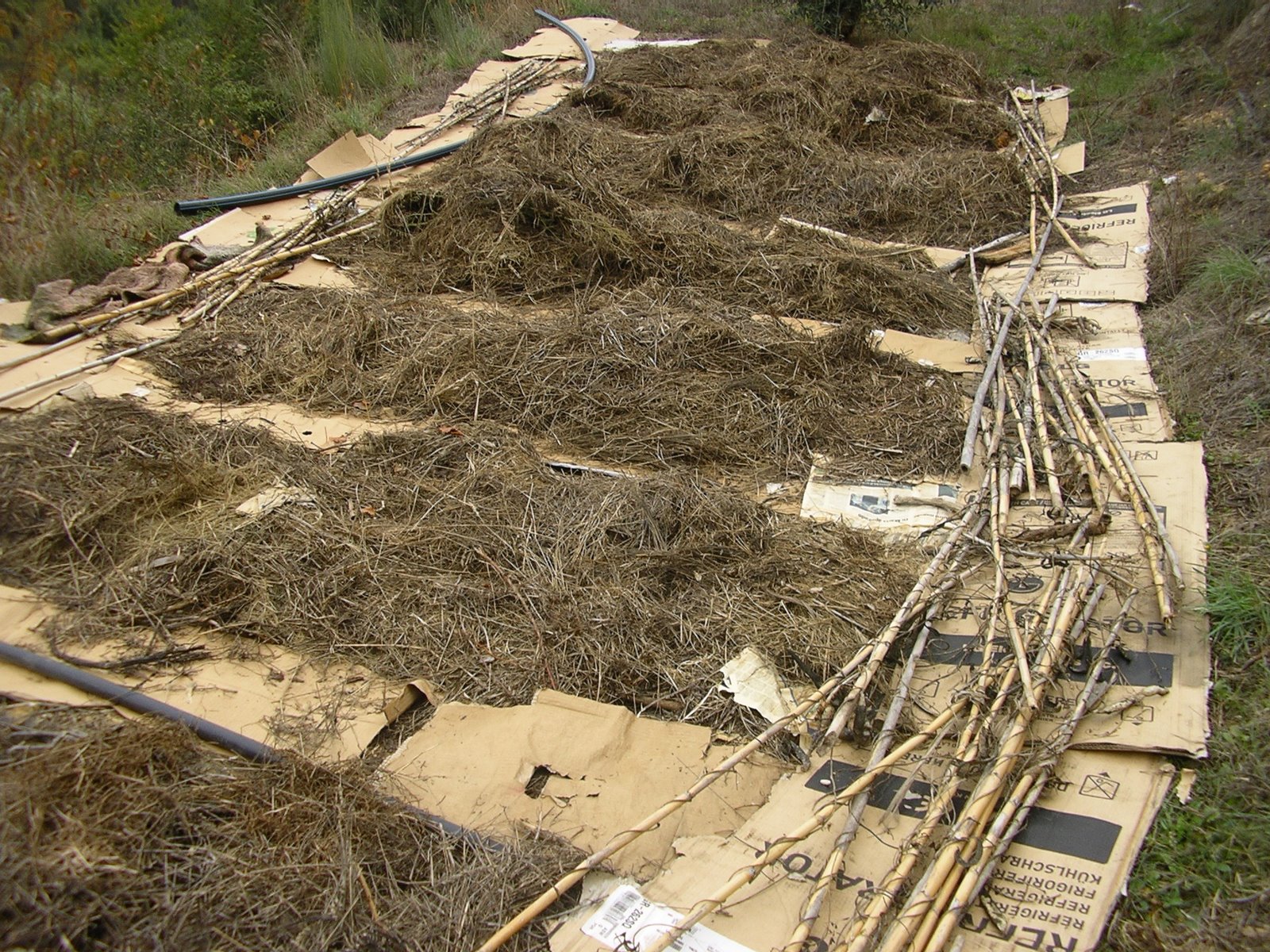 [2008-11-06+008.JPG]