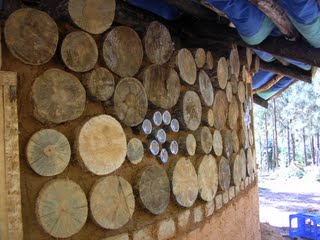 [2007-11-02+003.JPG]