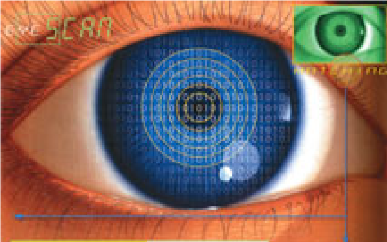 The Unique Information: Biometric