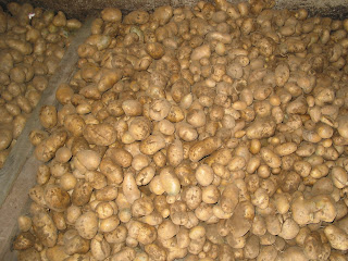 monton de patatas