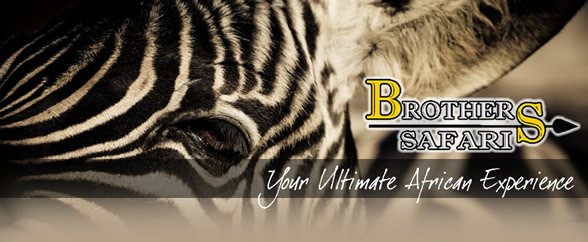 Brothers Safaris Updates