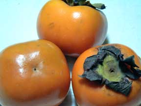 [sharonfruit.jpg]