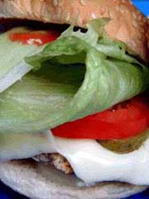 [hamburger.jpg]