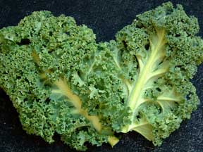 [curlyleafkale.jpg]