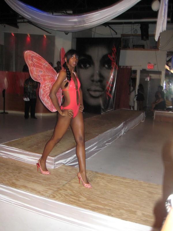 [butterfli+wings2.jpg]