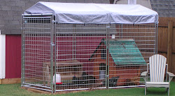 chicken dog kennel coop egg kennels pen coops heat lamp houses dogs starter french hens diy weird ift tt