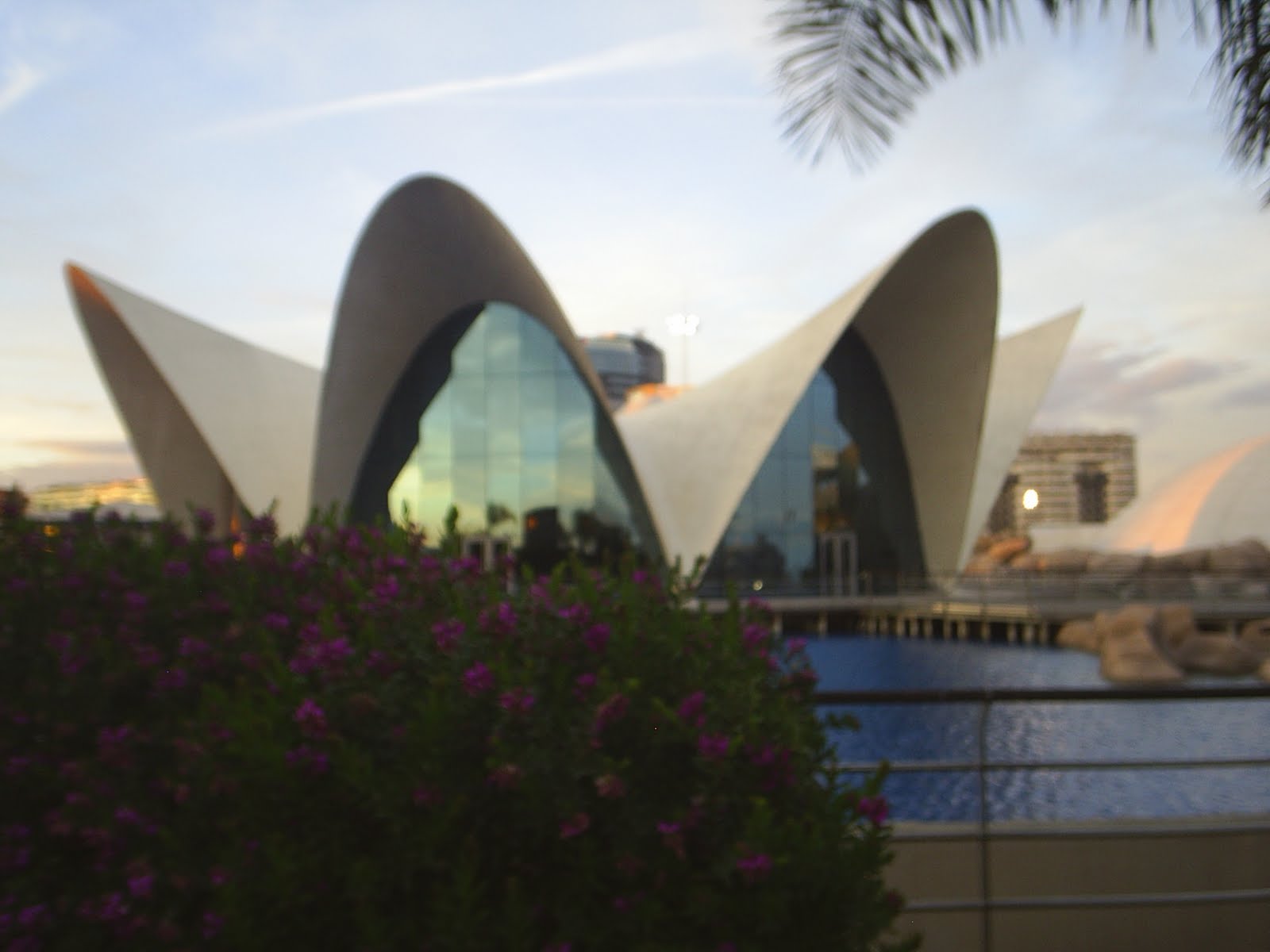 CORAZON SIN DESTINO: Ciudad de las Artes y de las Ciencias