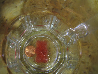 gaga in the kitchen: The gummy bear experiment