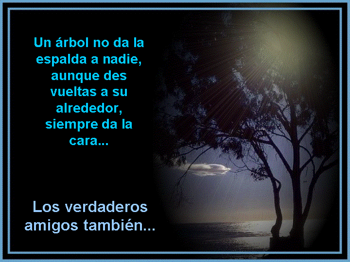 el verdadero valor de la amistad reflexion