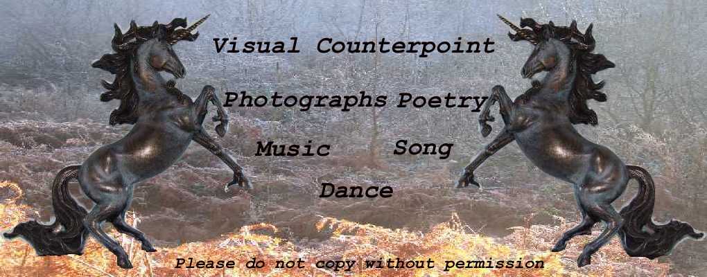Visual Counterpoint