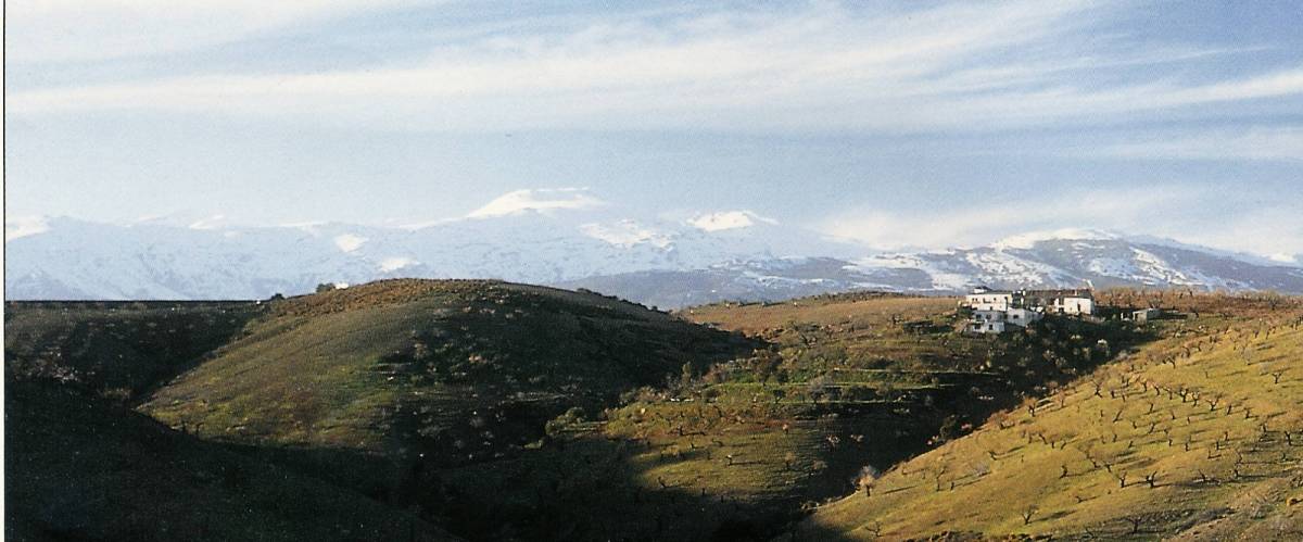 [barranco_oscuro_01_01.jpg]