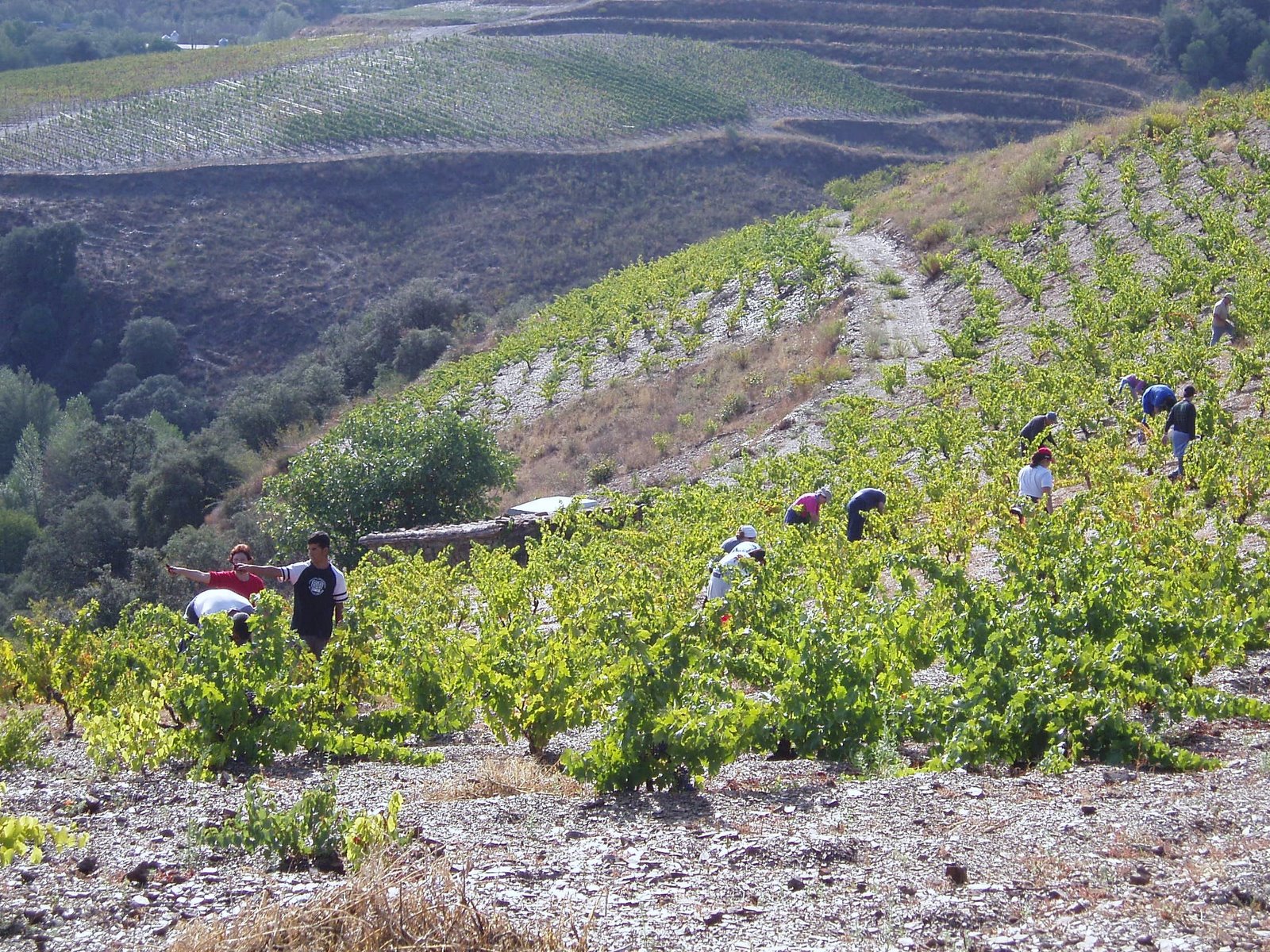 [2+sol+i+verema+Salanques.JPG]