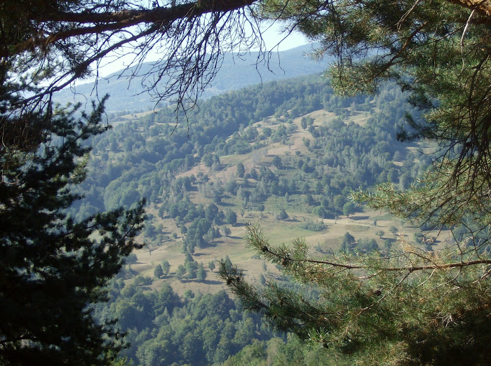 ascunzisurile sufletului sunt doar ale mele