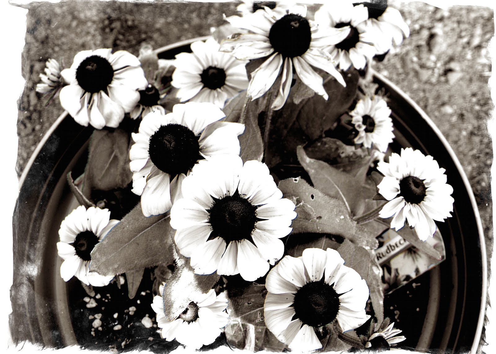 Digital Scrapping and just everyday thoughts!