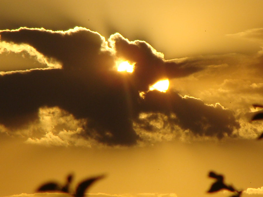 [Yoda_by_FearTheNight.jpg]