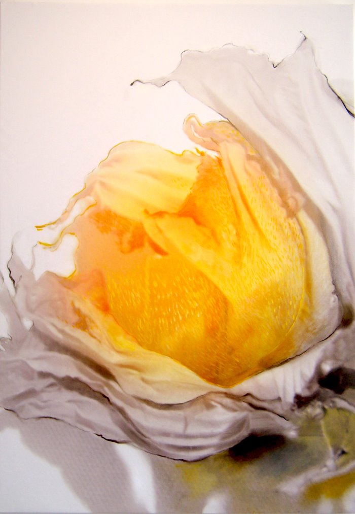 [DAMA+DA+NOITE+(1).jpg]