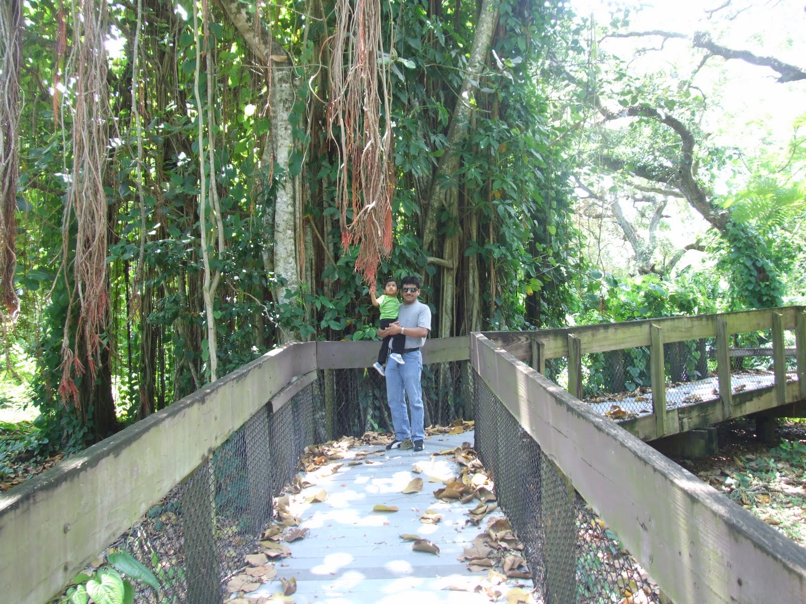 Sudeep's BLOG Tree Tops Park , Davie,FL