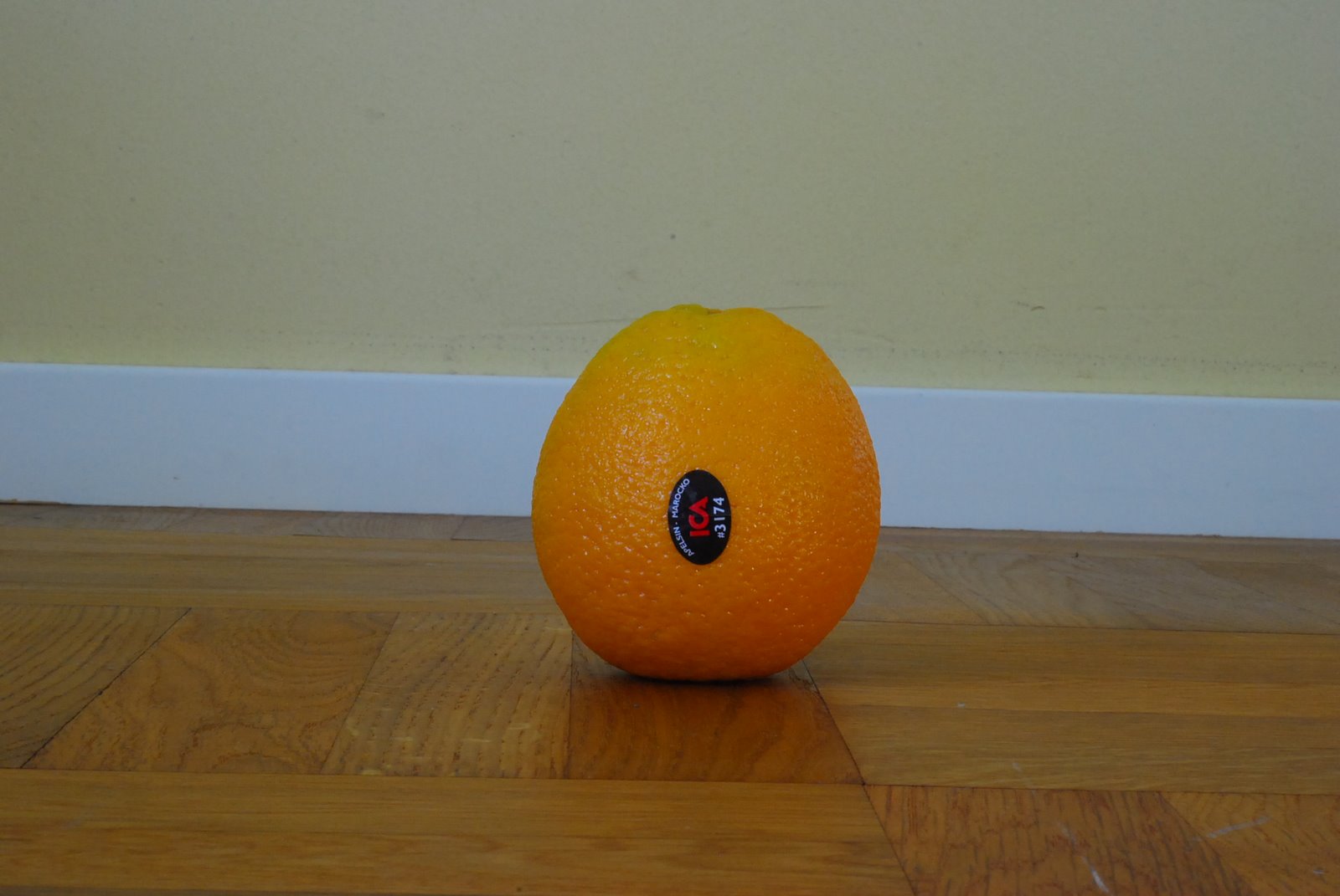 [DSC_1830.JPG]