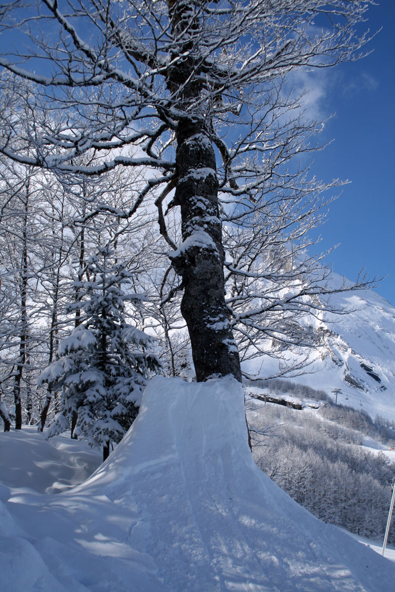 [IMG_3286-copie.jpg]