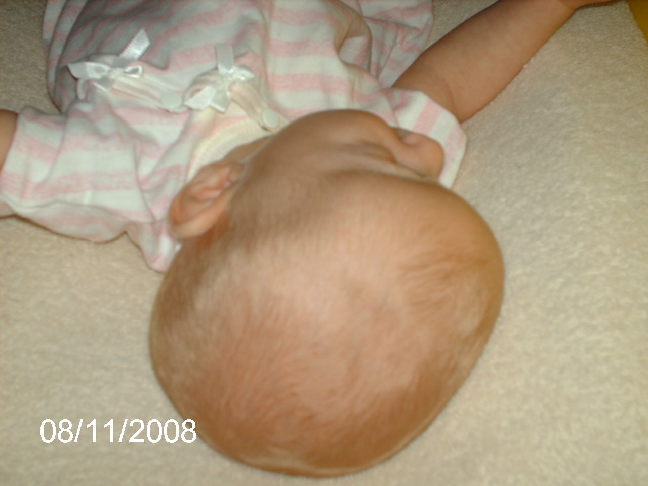 [PICT0653.JPG]