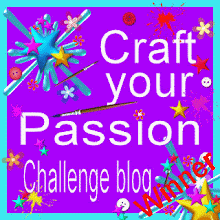 Craft Your Passion Winner!