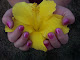 My photo