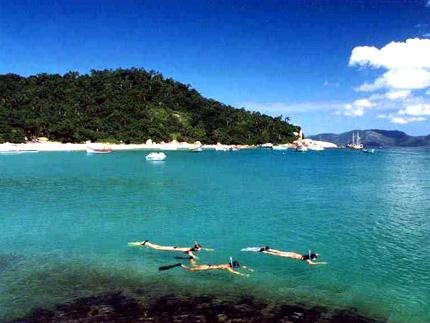 [7856gra-localizada-na-costa-leste-de-florianopolis-a-ilha.jpg]