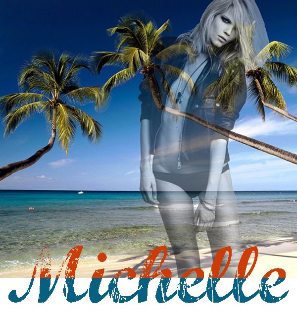 [michelle_westgeest.jpg]