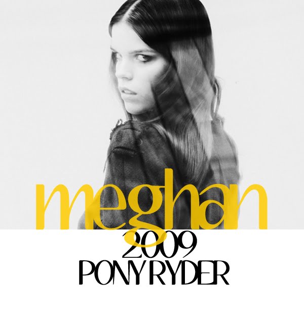 [meghan_collision.jpg]