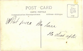 message on postcard about war horse