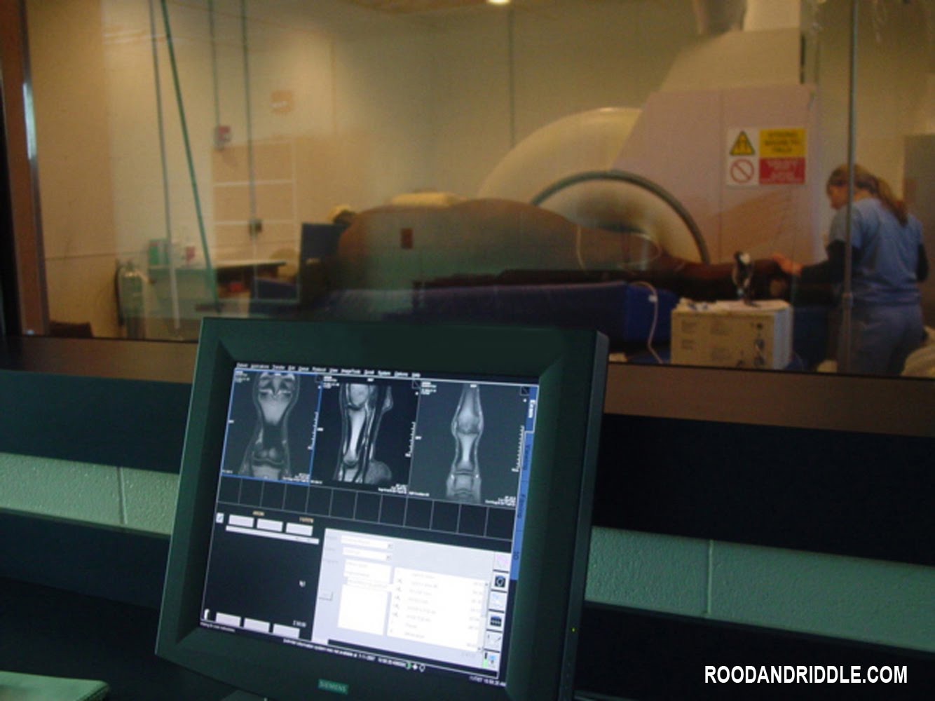 Fran Jurga S Hoofcare Lameness Ready Vet Go Rood And Riddle Equine Hospital Shares World Equestrian Games Plan To Serve Horses Educate Visitors