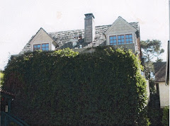 Western Elevation
