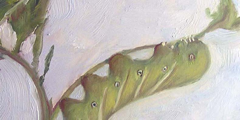 [07-04-07-GardenVisitor-Post-detail.jpg]