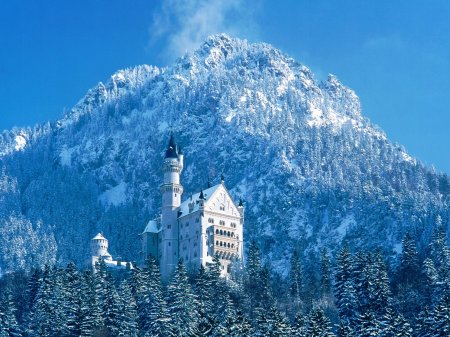 [1225915623_neuschwanstein-castle-bavaria-germany-snow-727177.jpg]