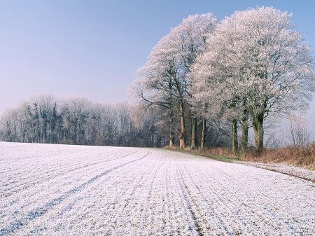 [amazing+winter+photographies+flickzzz.com+013-788823.jpg]