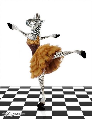 [dancing+animals+flickzzz.com+030-745761.jpg]