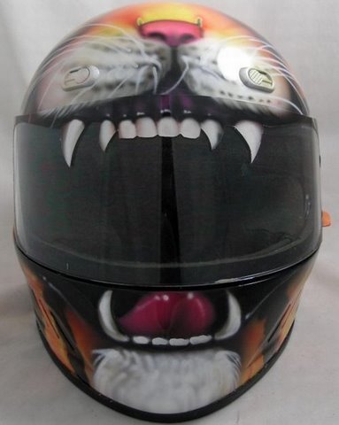 [biker+helmets+flickzzz.com+2005-777615.jpg]