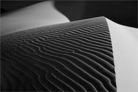 [flickzzz.com+amazing+black+and+white+desert+photographies+033-767537.jpg]